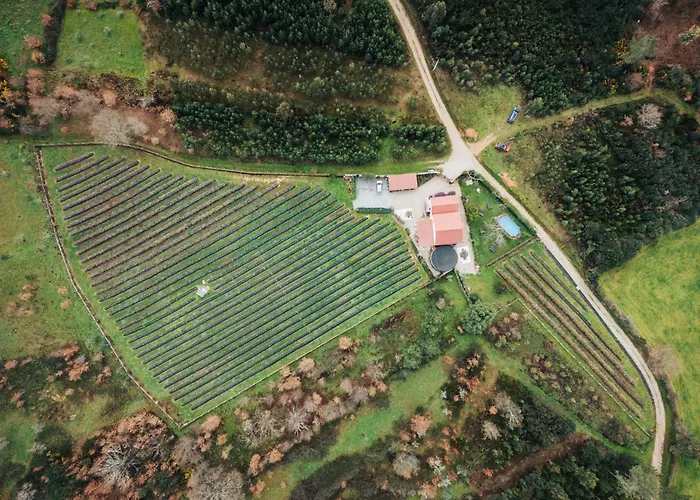 Quinta Vale Salgueiro