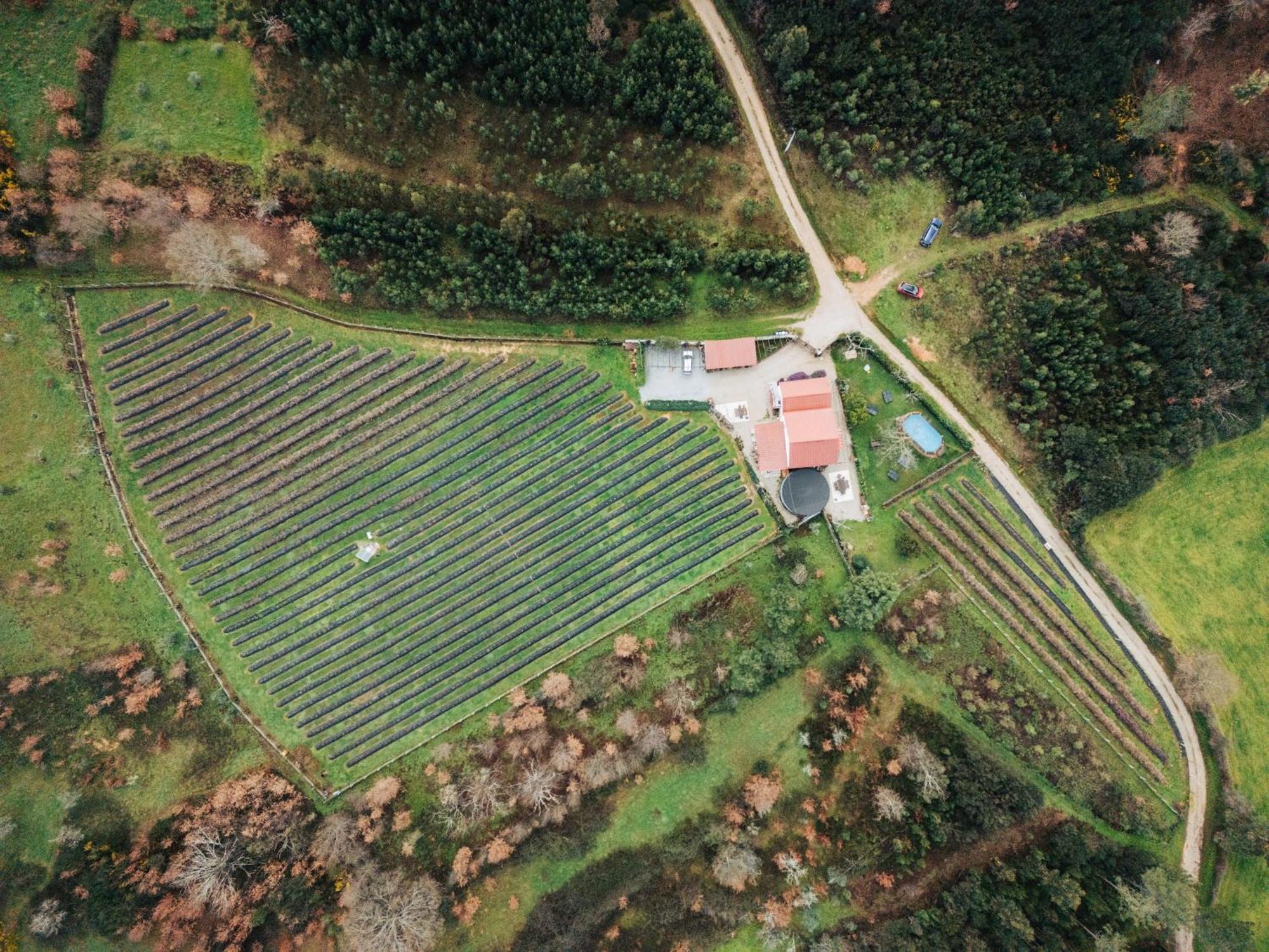 Quinta Vale Salgueiro * Seia