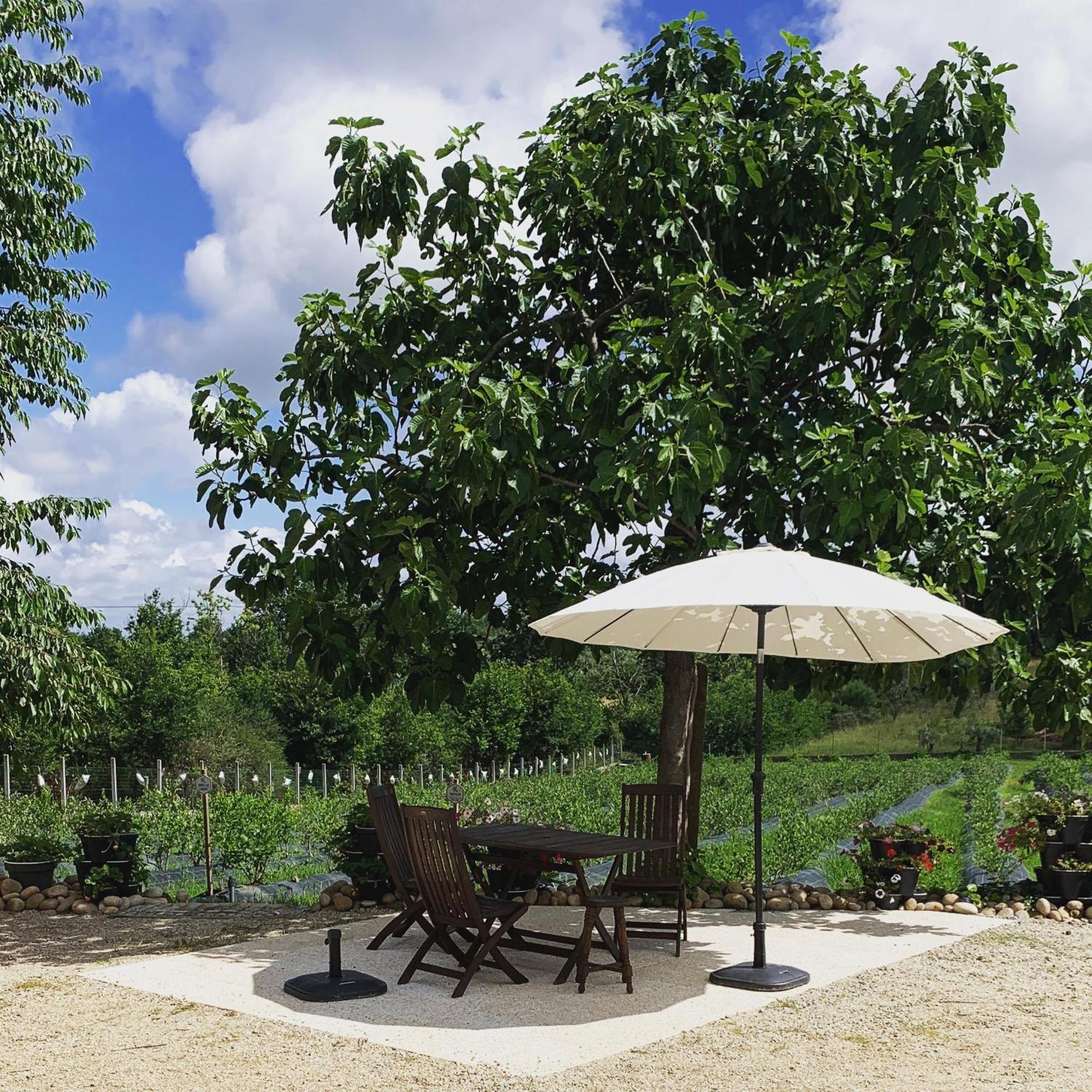 Quinta Vale Salgueiro
